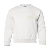 Unisex Crewneck Sweatshirt Thumbnail